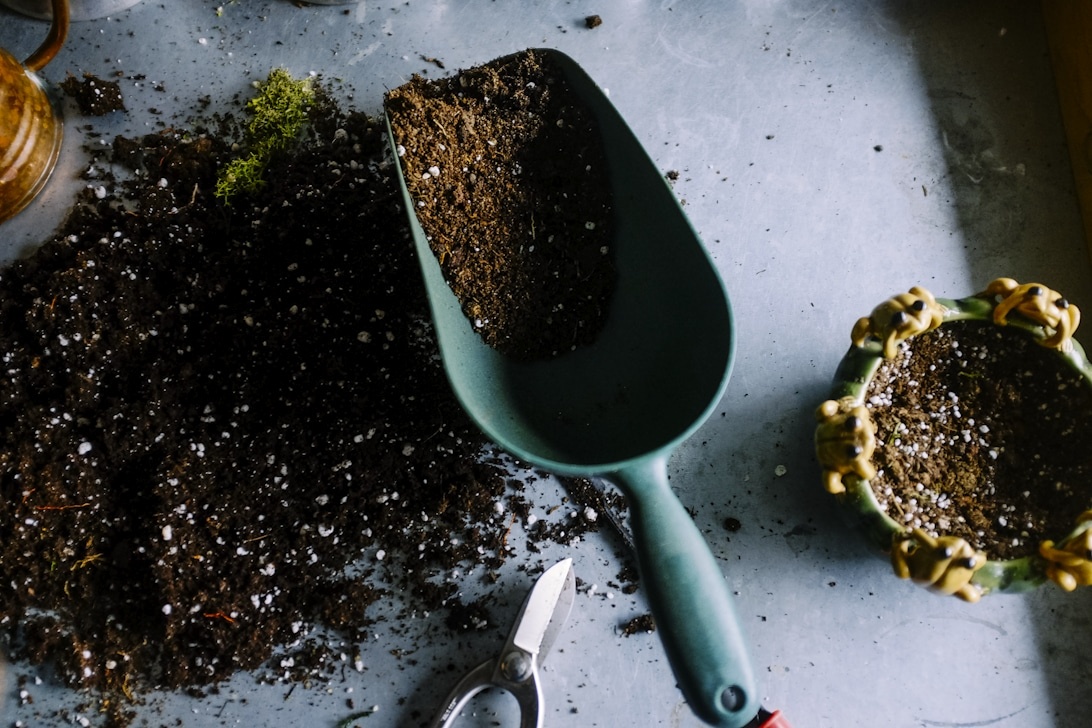 Permakultur im Hausgarten: Nachhaltige Gartengestaltung für die Zukunft
