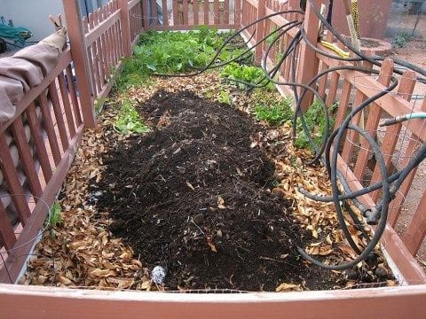 Hochbeet mit dunkler Kompostschicht, Laubmulch und Bewässerungsschläuchen