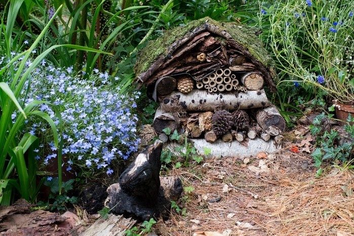 Mut zur Unordnung: Wie deine wilde Gartenecke zum Nützlings-Paradies wird