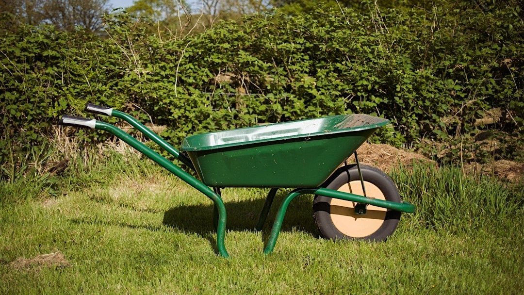 Grüne Schubkarre steht auf einer Rasenfläche im Garten