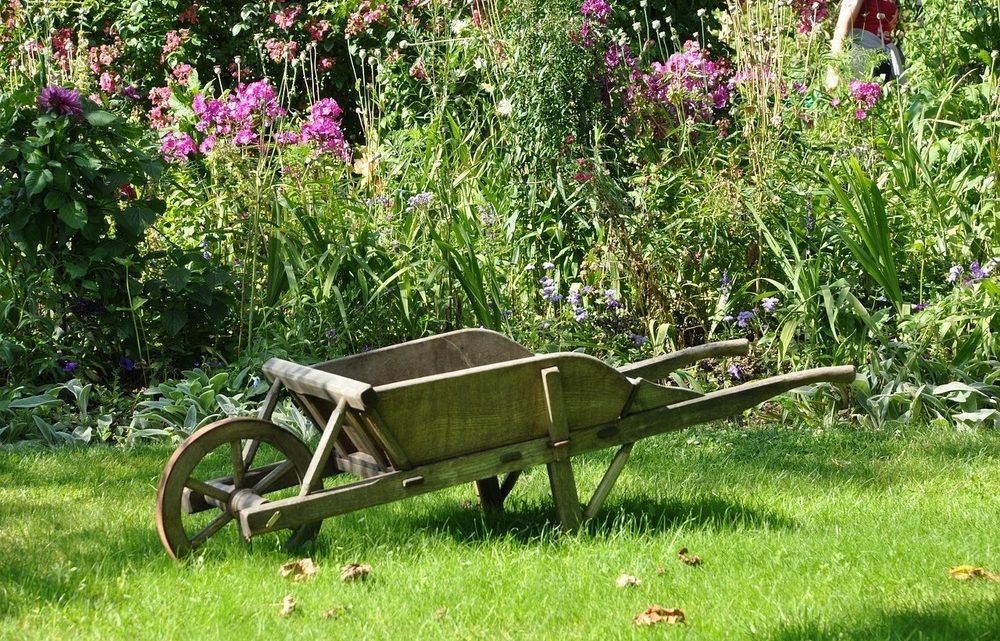 Nachhaltige Gartenarbeit: Für einen umweltfreundlichen Garten