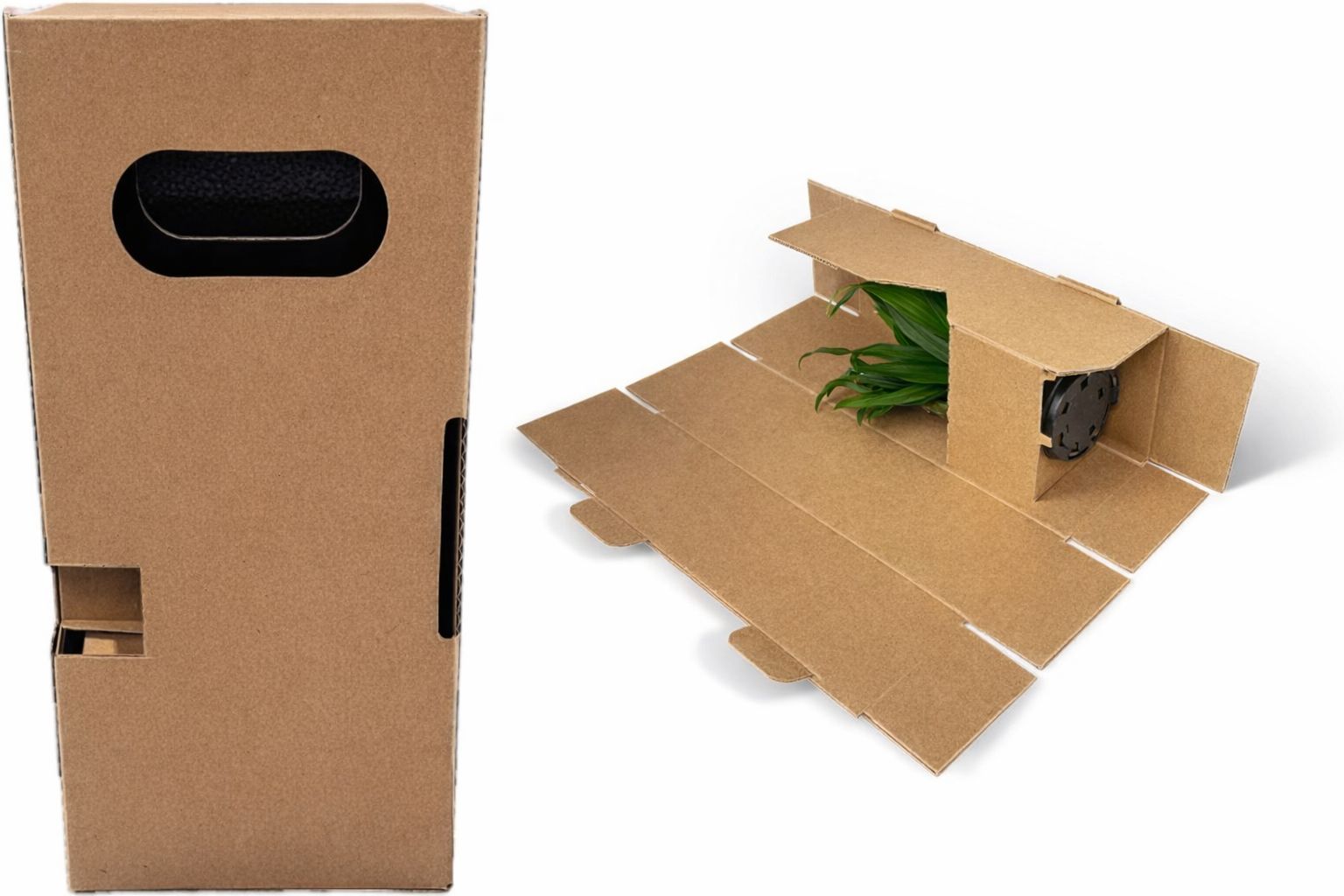 Spezielle Kartonverpackung für den sicheren Pflanzenversand.